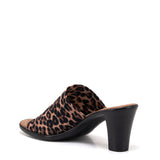 Crista / Leopard