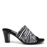 Crista / Zebra