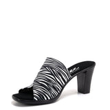 Crista / Zebra