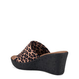 Danica / Leopard