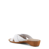 Seashore / White