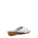 Seashore / White