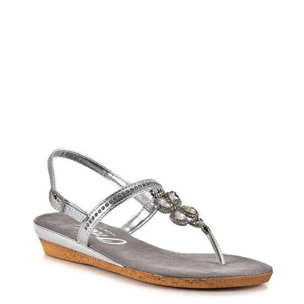 Taylor / Silver